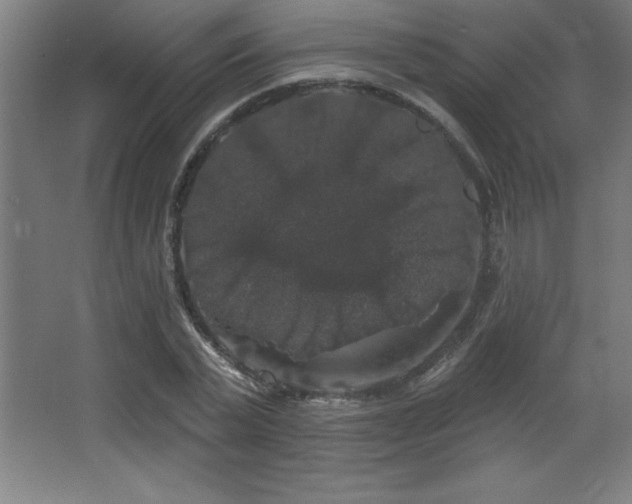 X0000068290783200604211136