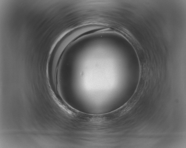 X0000068290788200604211136