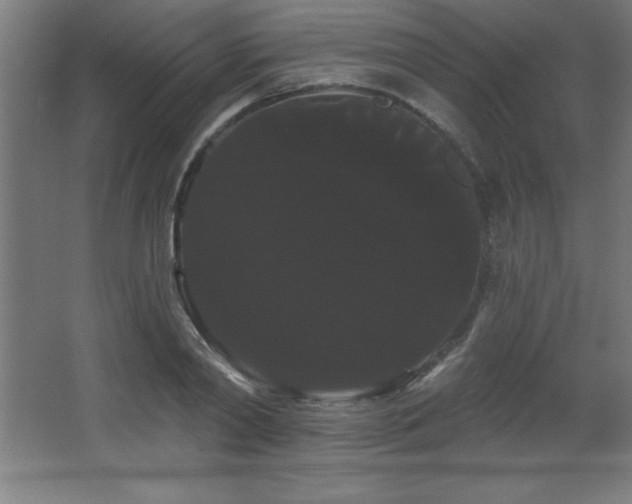 X0000068290790200604211136