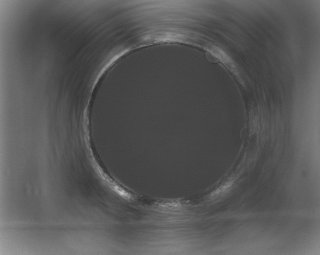 X0000068290798200604211135