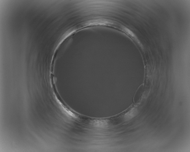 X0000068290802200604211135