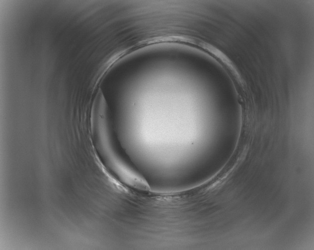 X0000068290809200604211135