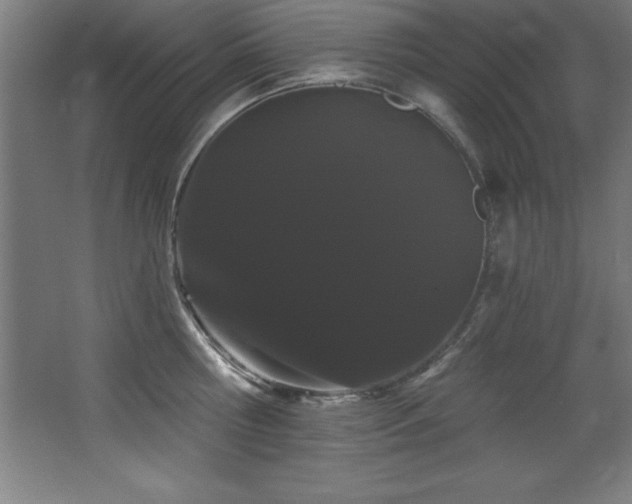 X0000068290810200604211135