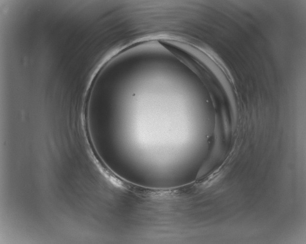 X0000068290813200604211135