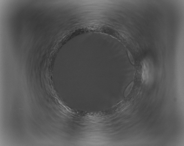 X0000068290817200604211134