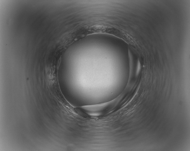 X0000068290818200604211134