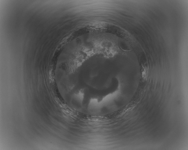 X0000068290819200604211134