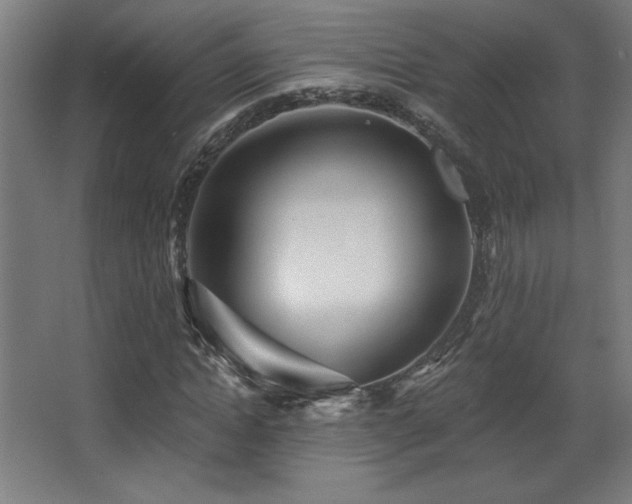 X0000068290822200604211134