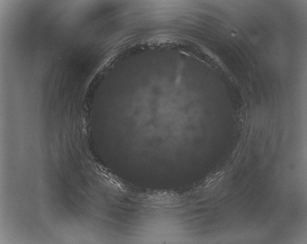 X0000068290823200604211134
