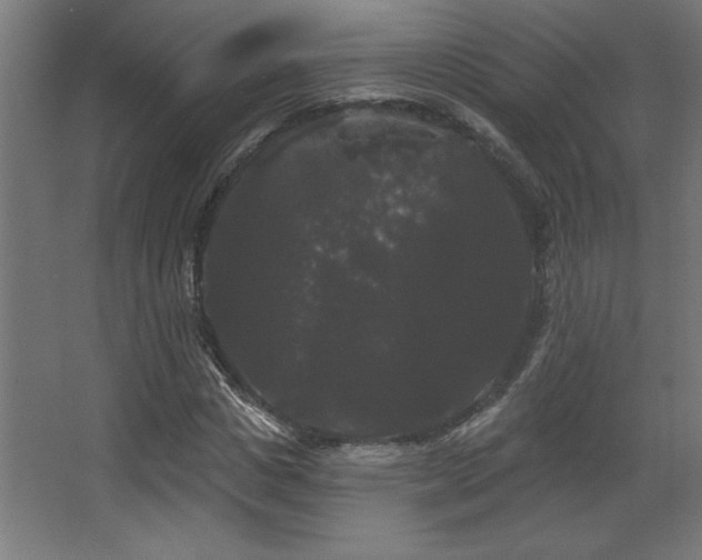X0000068290825200604211134