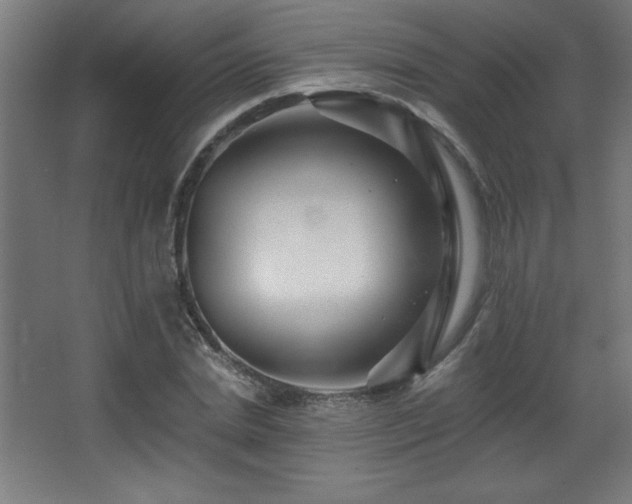 X0000068290830200604211135