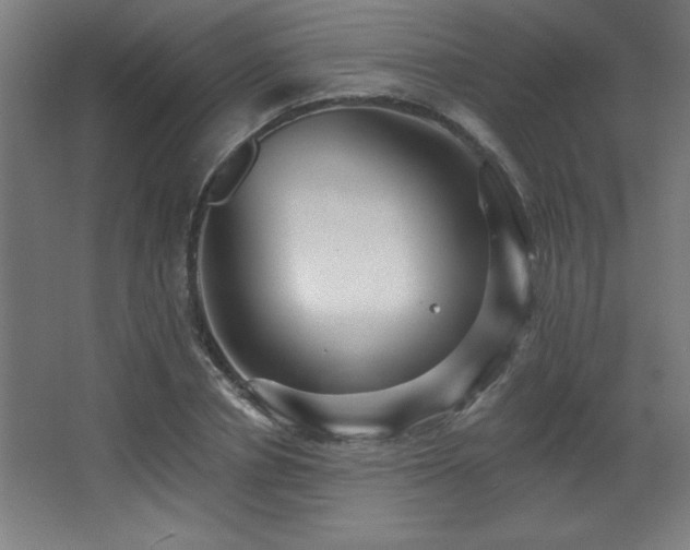 X0000068290834200604211135