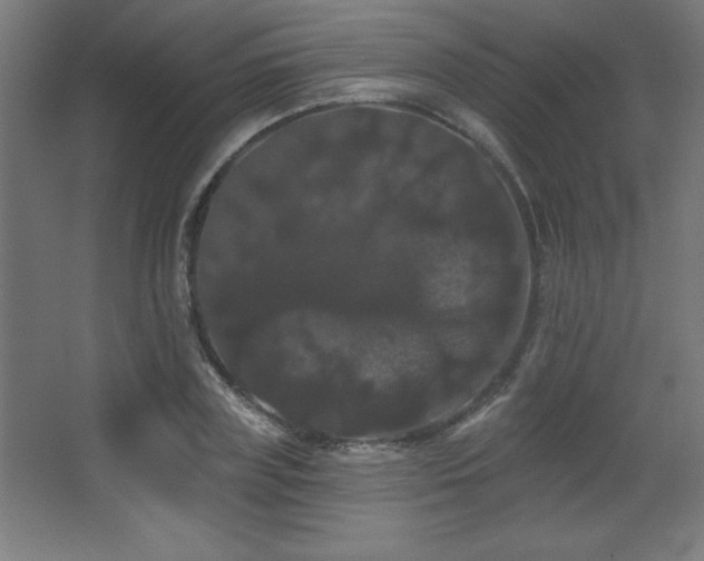 X0000068290835200604211135