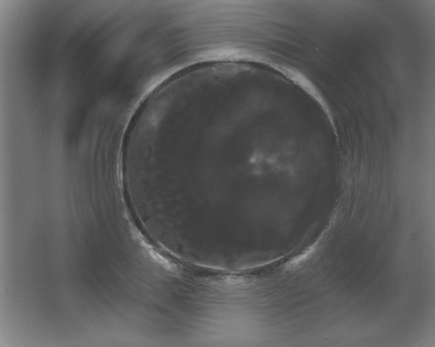 X0000068290839200604211135