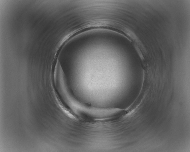 X0000068290842200604211135