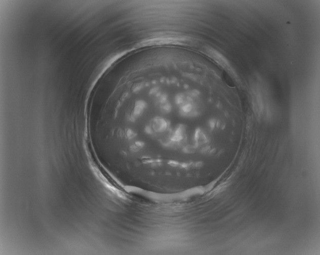 X0000068290844200604211135