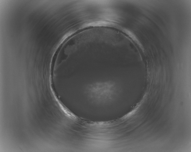 X0000068290845200604211135