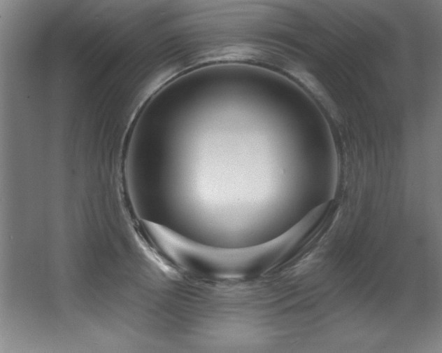 X0000068290850200604211135