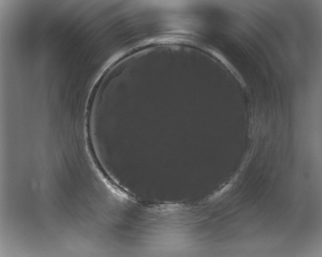 X0000068290853200604211135