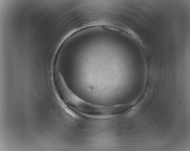 X0000068290854200604211135