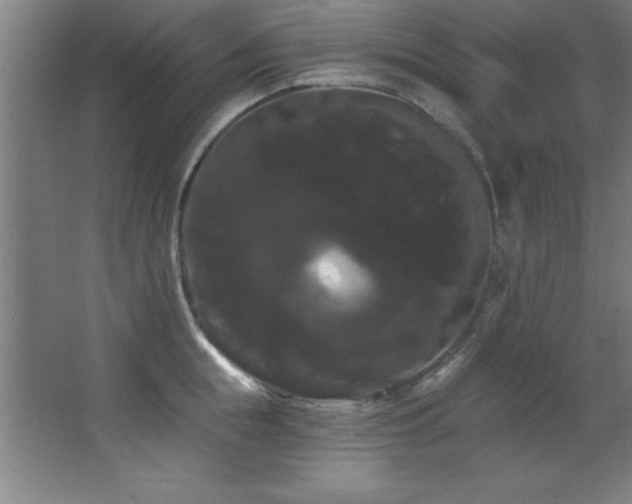 X0000068290855200604211135