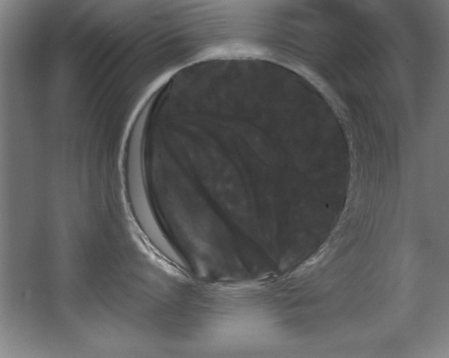 X0000068290864200604211135