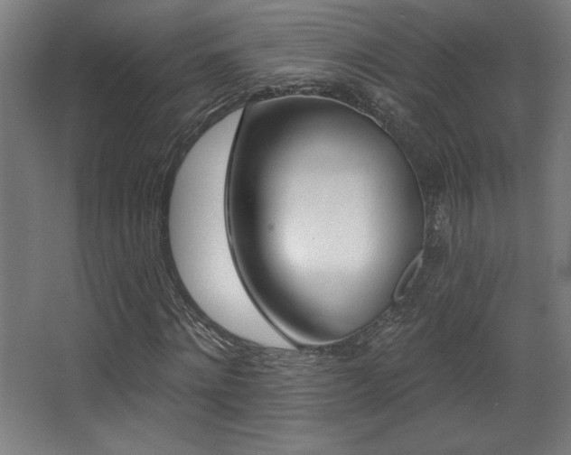 X0000068290868200604211134
