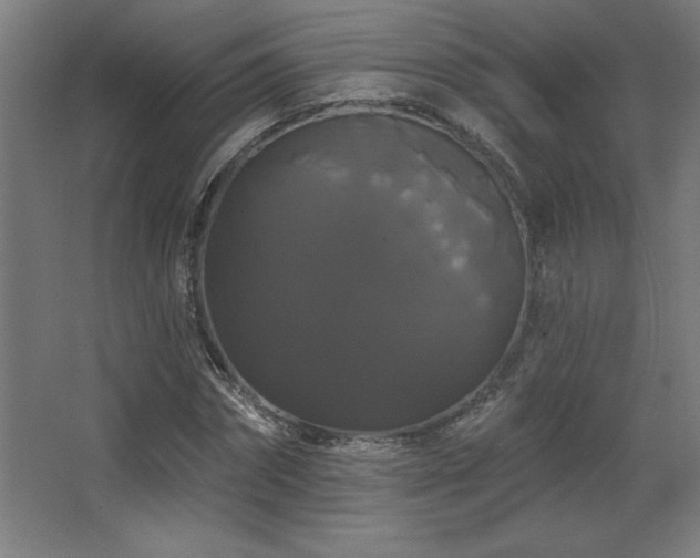 X0000068290874200604211134