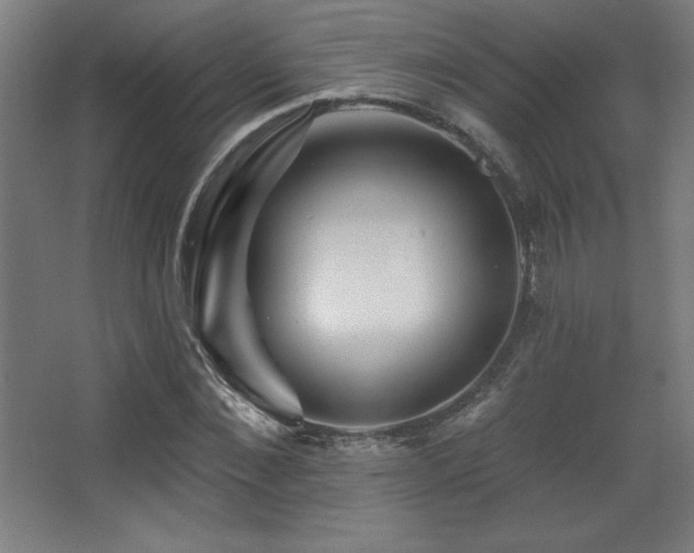X0000068290876200604211134
