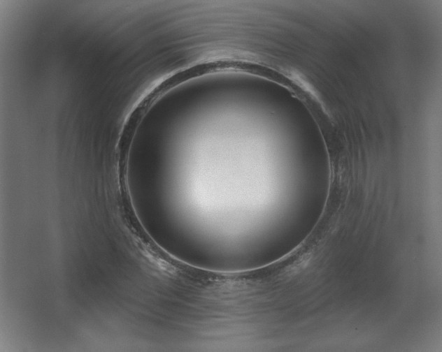 X0000068290877200604211134
