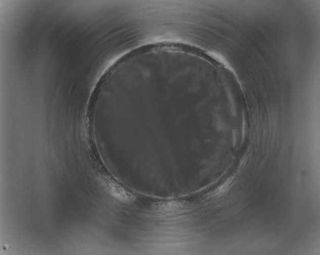 X0000068290879200604211134