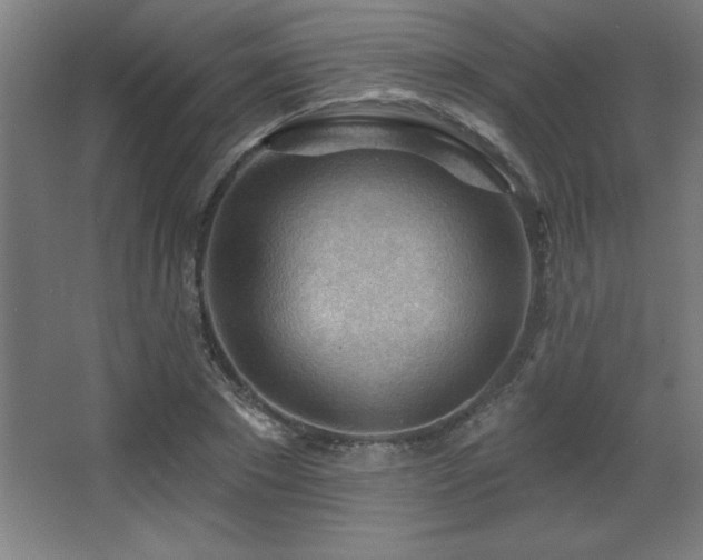 X0000068290881200604211134