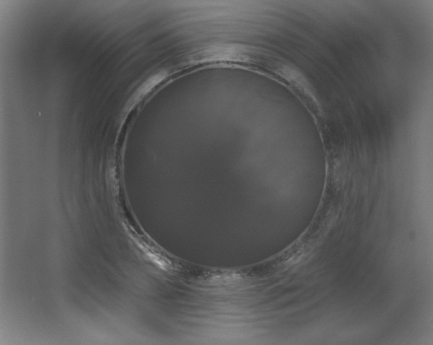 X0000068290882200604211134