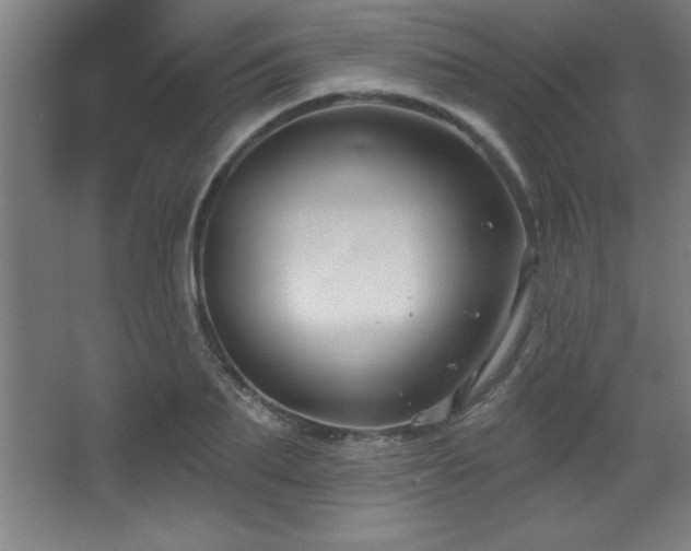 X0000068290887200604211134