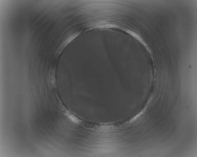 X0000068290889200604211134