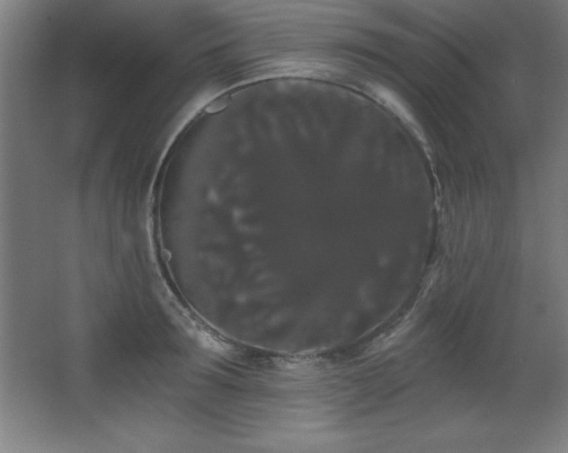 X0000068290899200604211134