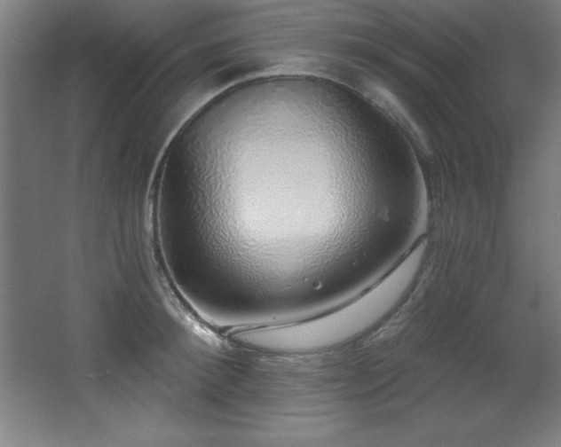 X0000068290900200604211134