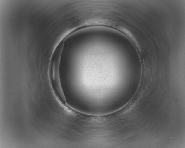 X0000068290901200604211134