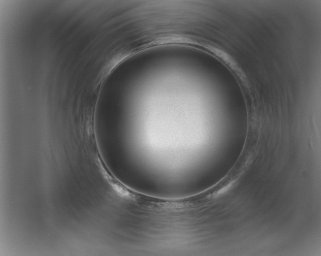 X0000068290905200604211134