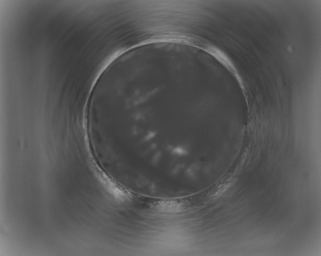 X0000068290907200604211134