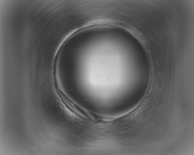 X0000068290912200604211134