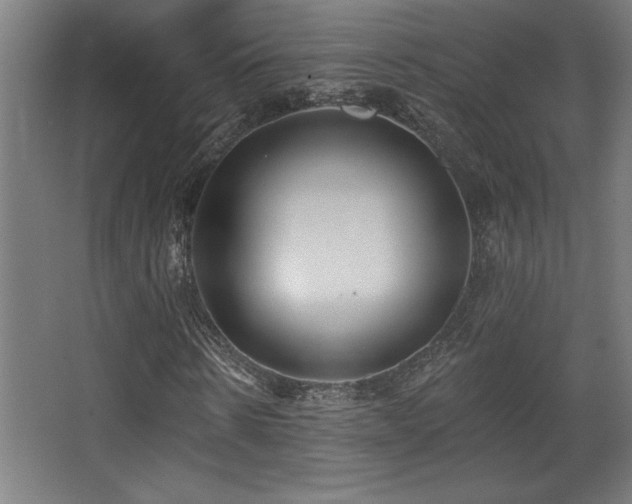X0000068290914200604211133