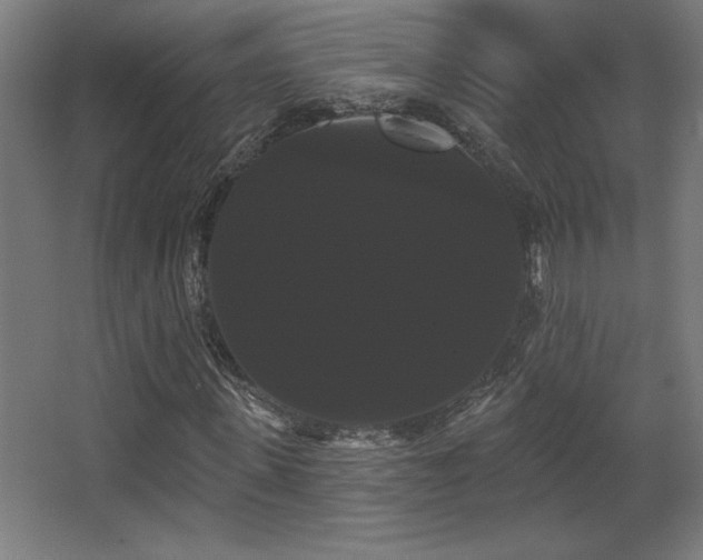 X0000068290915200604211133