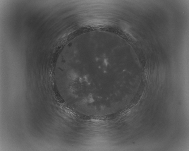 X0000068290917200604211133