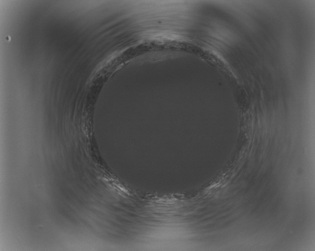 X0000068290919200604211133