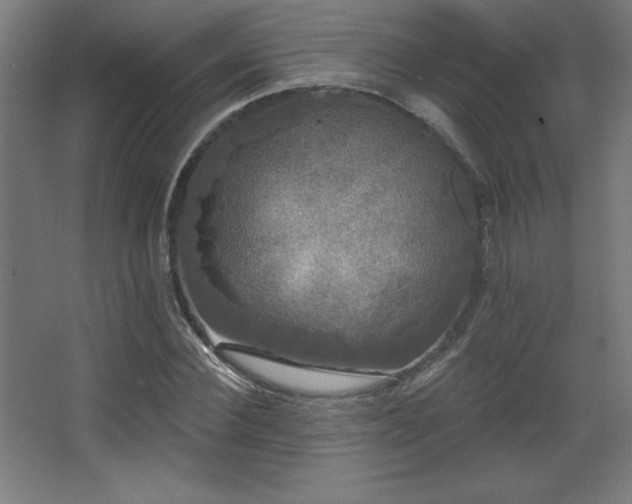 X0000068290924200604211133