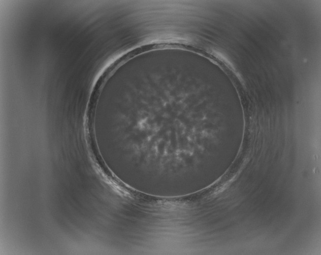 X0000068290928200604211133