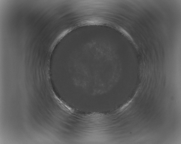 X0000068290930200604211133