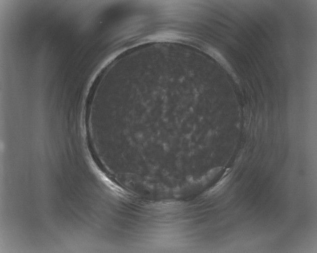 X0000068290939200604211133