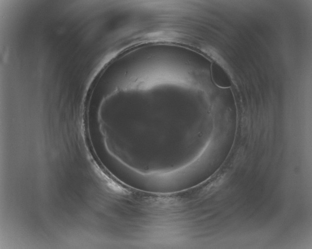 X0000068290941200604211133